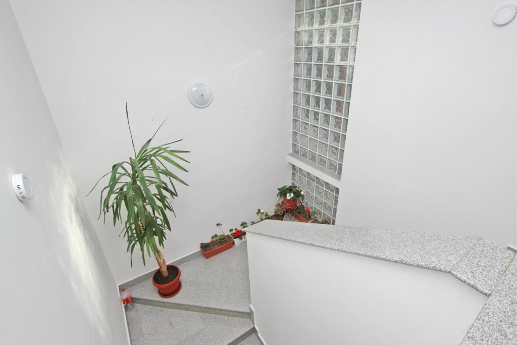 Imas Apartment Sarajevo Exterior photo