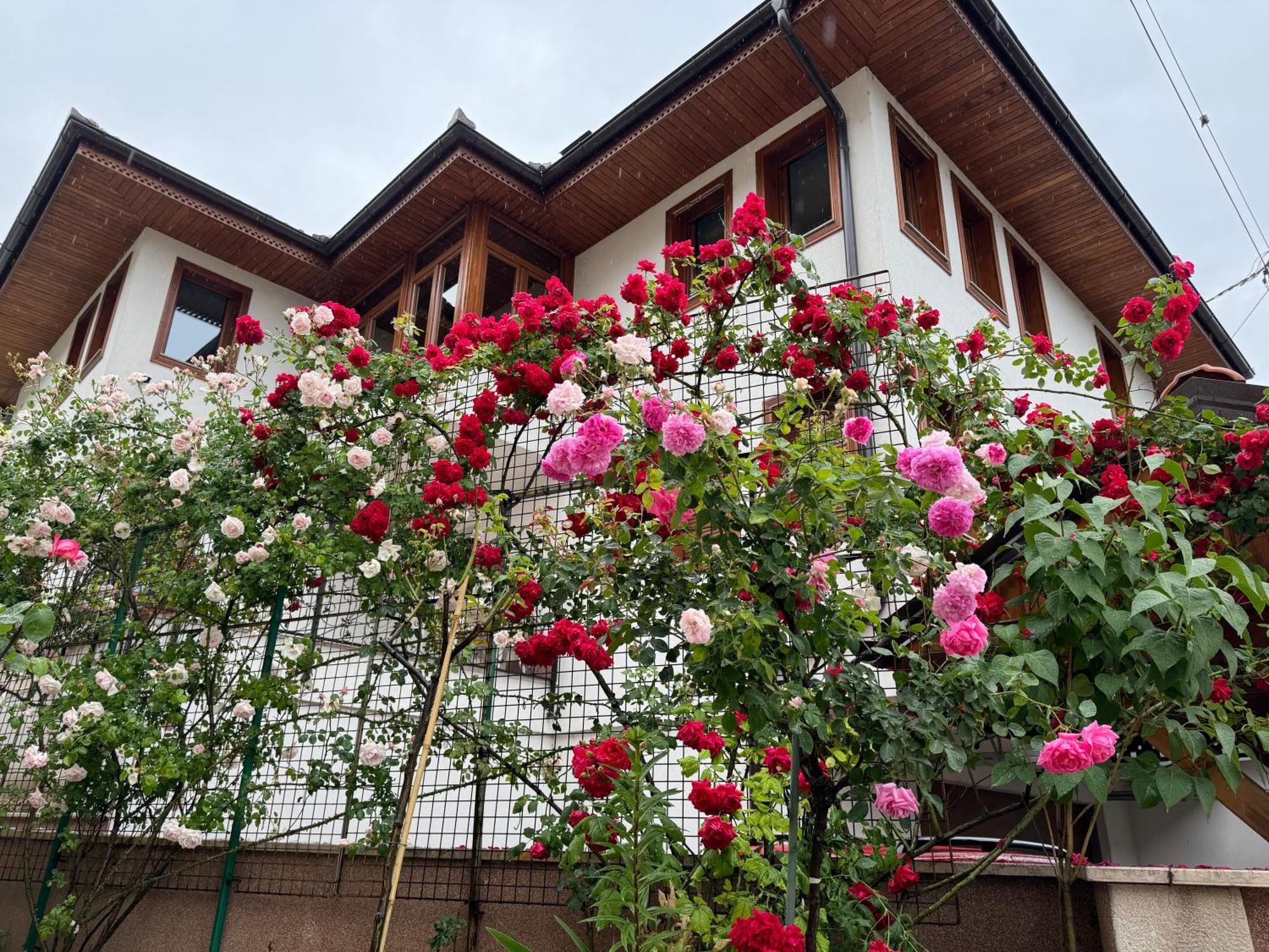 Imas Apartment Sarajevo Exterior photo